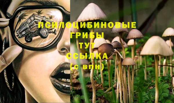гидропоника Армянск