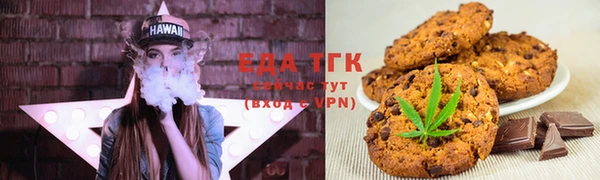 индика Арсеньев