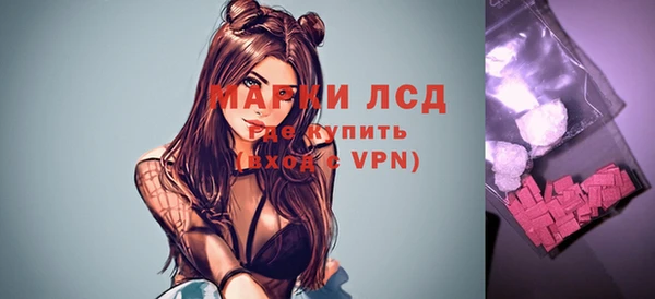 индика Арсеньев