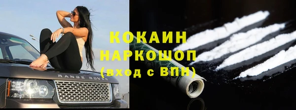 индика Арсеньев