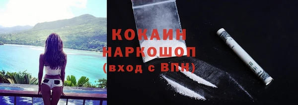 индика Арсеньев
