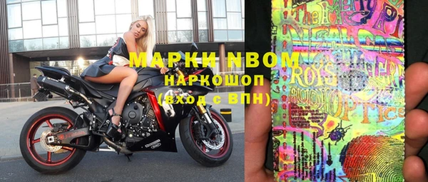 индика Арсеньев