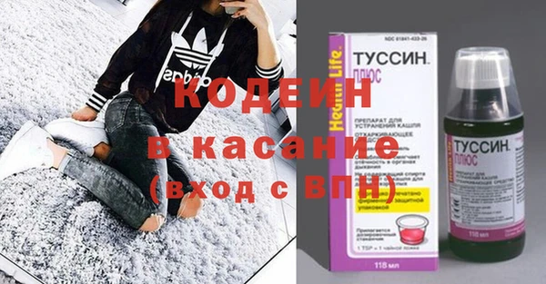 индика Арсеньев