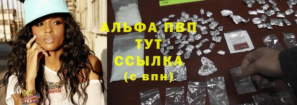 индика Арсеньев