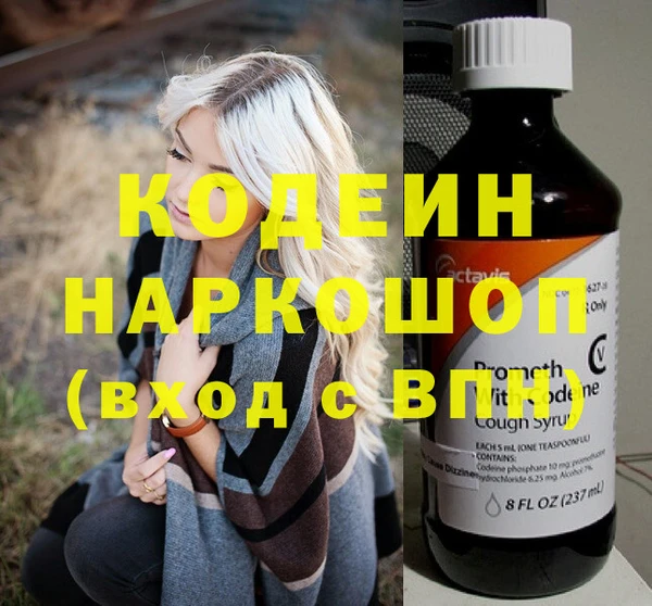 индика Арсеньев