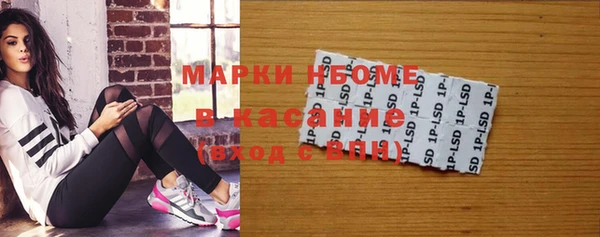 индика Арсеньев