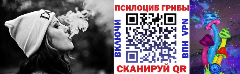 Купить где  Торопец  Псилоцибиновые грибы GOLDEN TEACHER 